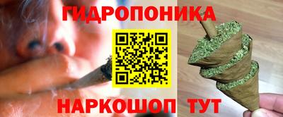 прущие грибы Свободный