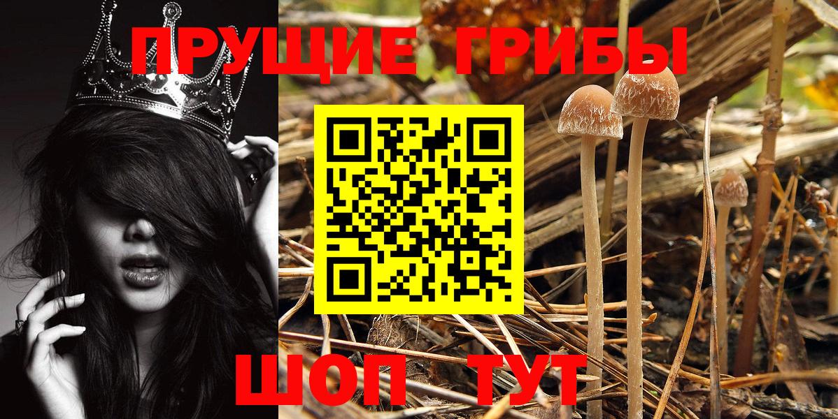 Галлюциногенные грибы GOLDEN TEACHER Орехово-Зуево
